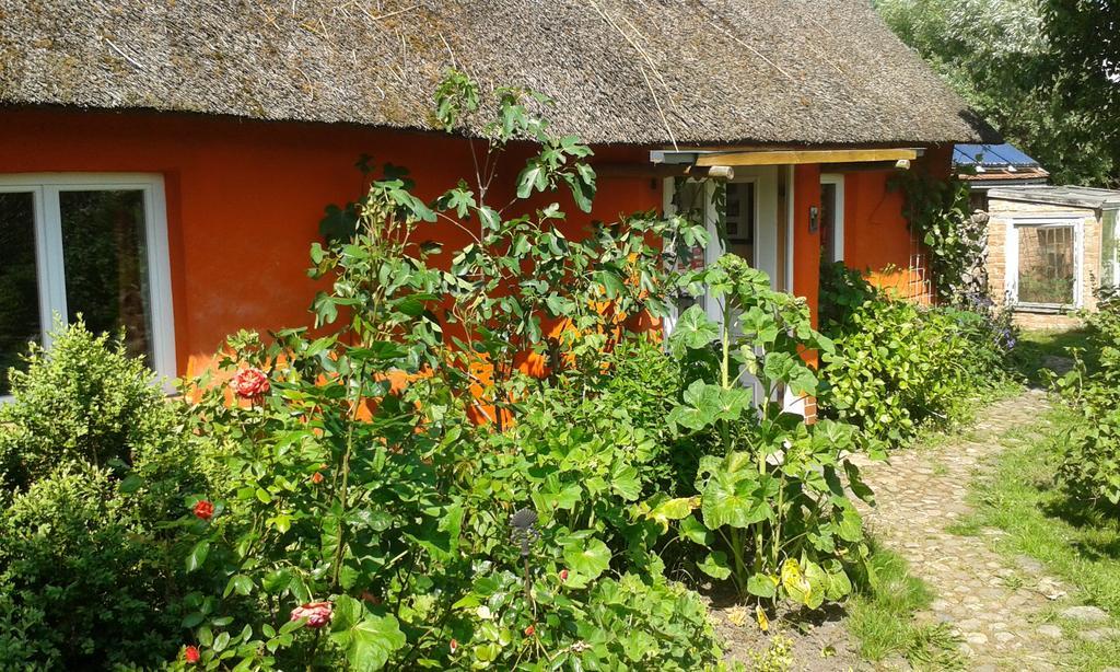 Ferienwohnung Hofboddenblick Kuckenshagen Exterior foto